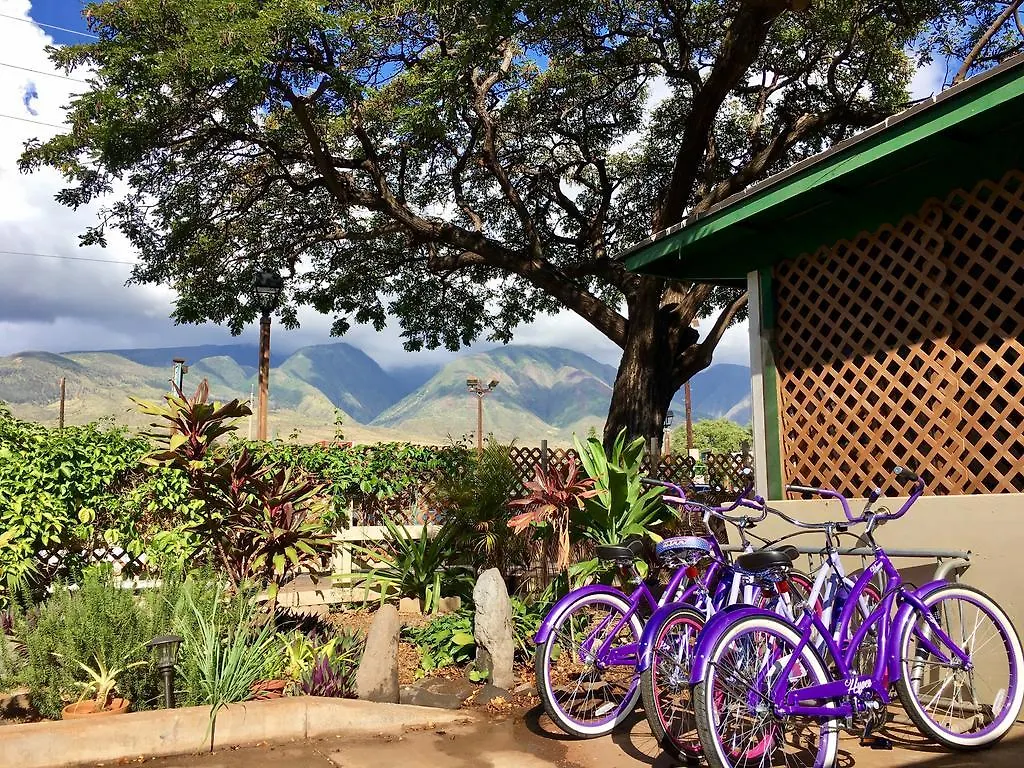 Hakuna Matata Hostel Lahaina ABD