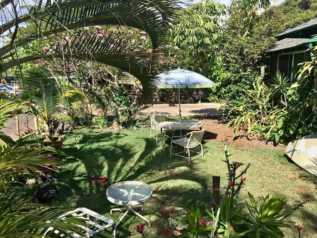 Hakuna Matata Hostel Lahaina